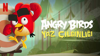 Angry Birds: Yaz Çılgınlığı (2022)